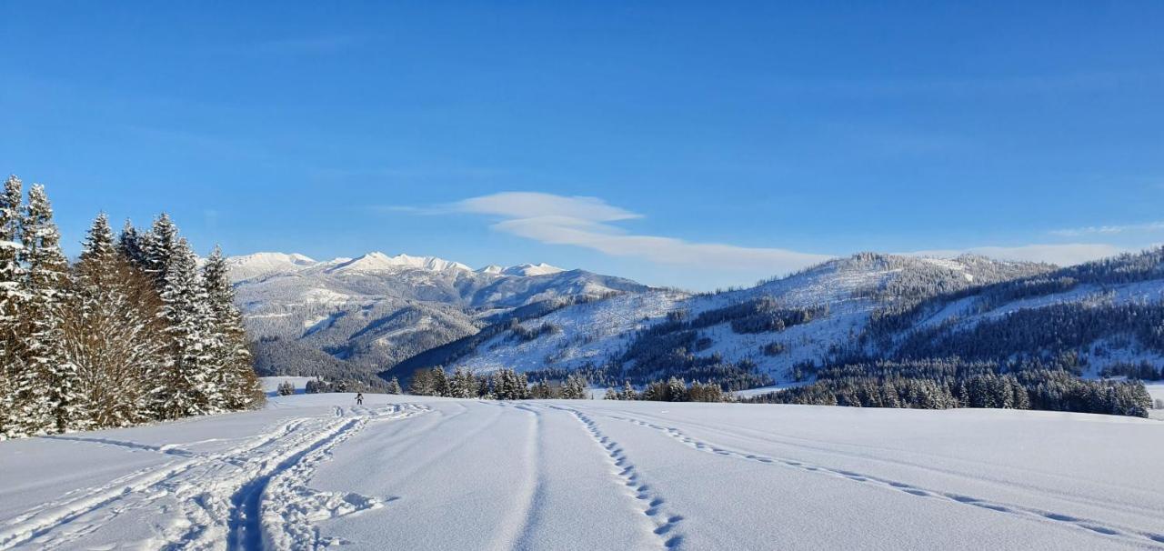 Velke Borove Drevenica Boroviankaヴィラ エクステリア 写真