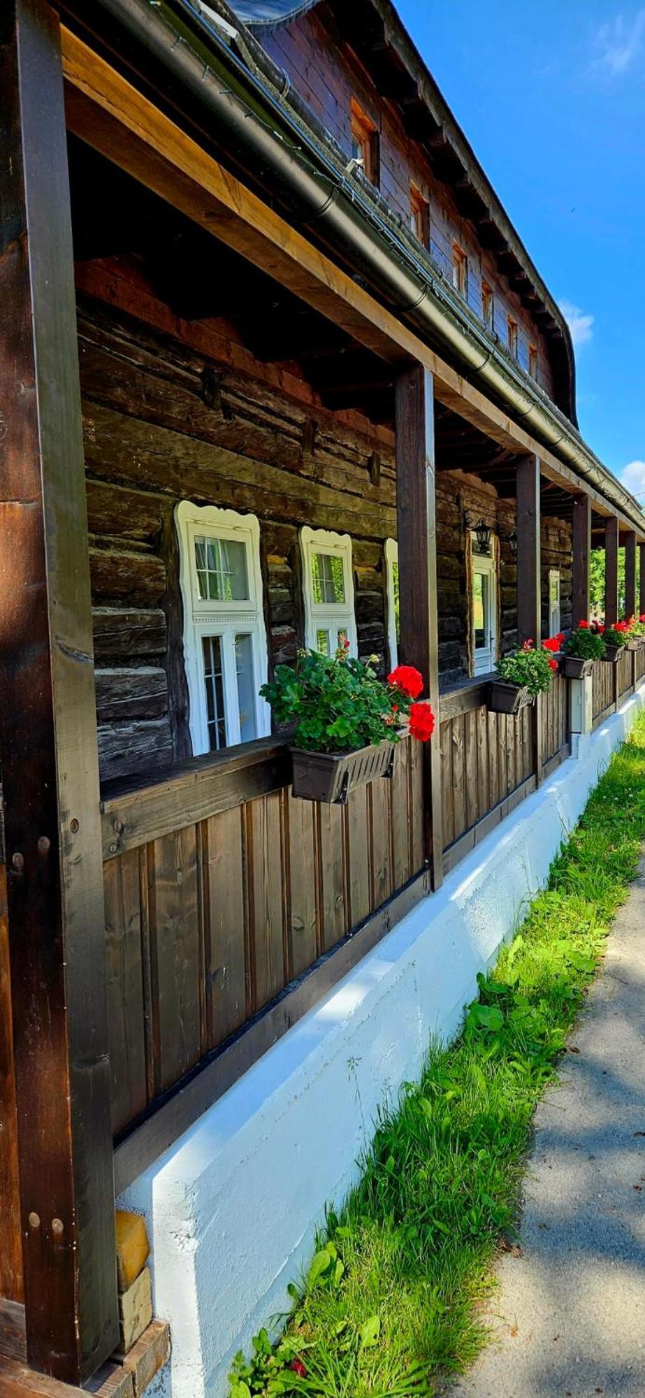 Velke Borove Drevenica Boroviankaヴィラ エクステリア 写真